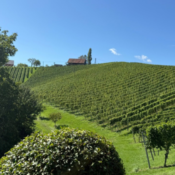 Südsteiermark